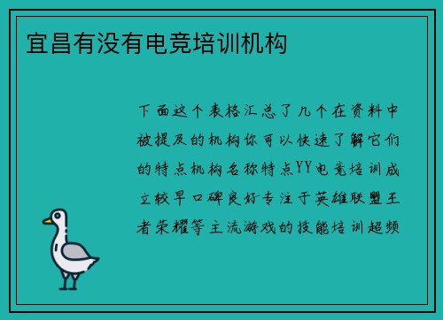 宜昌有没有电竞培训机构